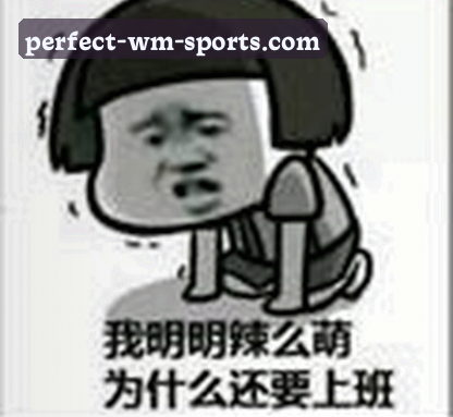 王少